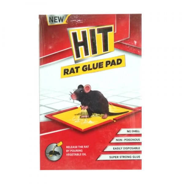 Hit rat glue pad